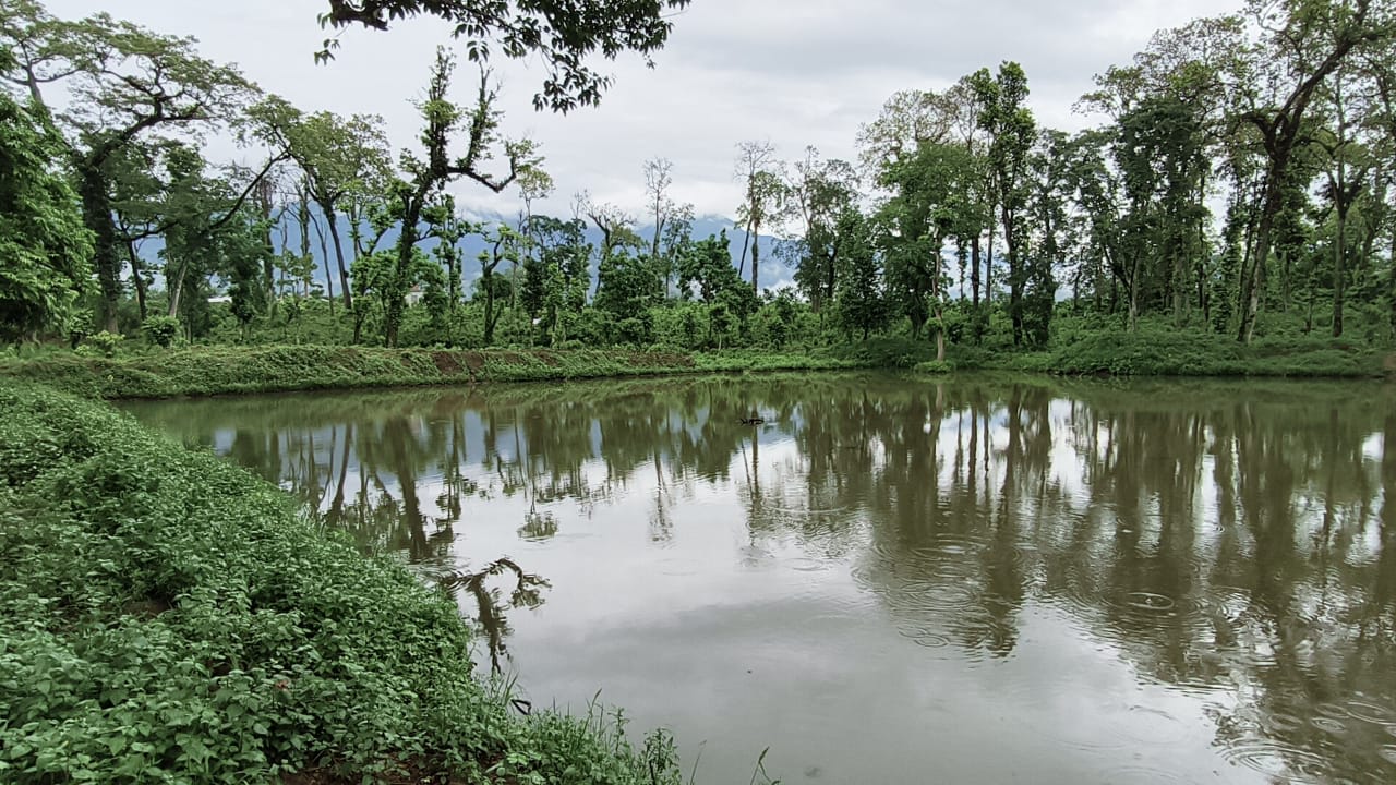 वन्यजन्तुका लागि सामुदायिक वनमा पोखरी निर्माण